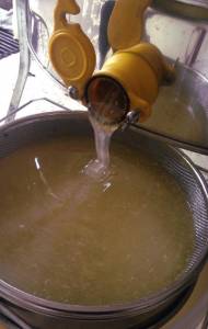 Première filtration du miel à la sortie de l'extracteur