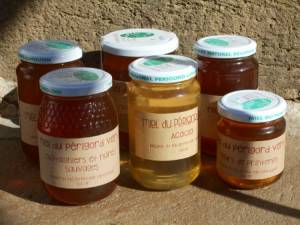 La diversité des miels du Périgord vert